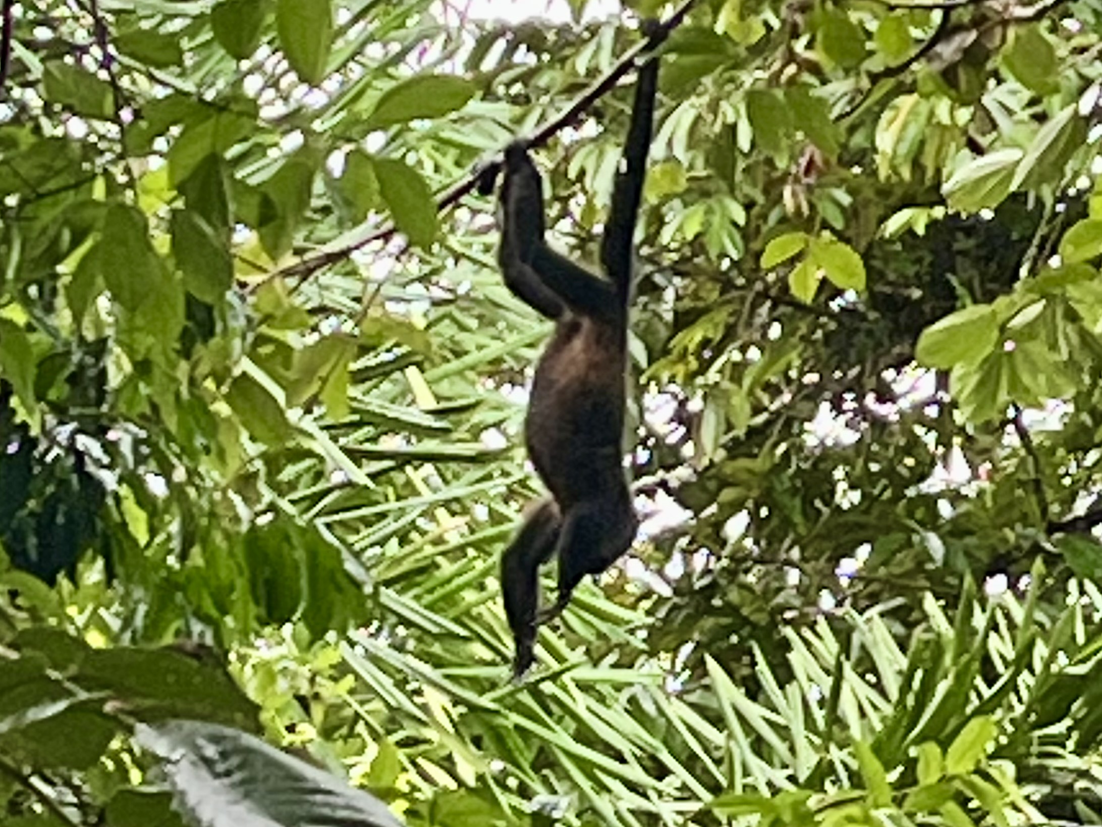 La Fortuna