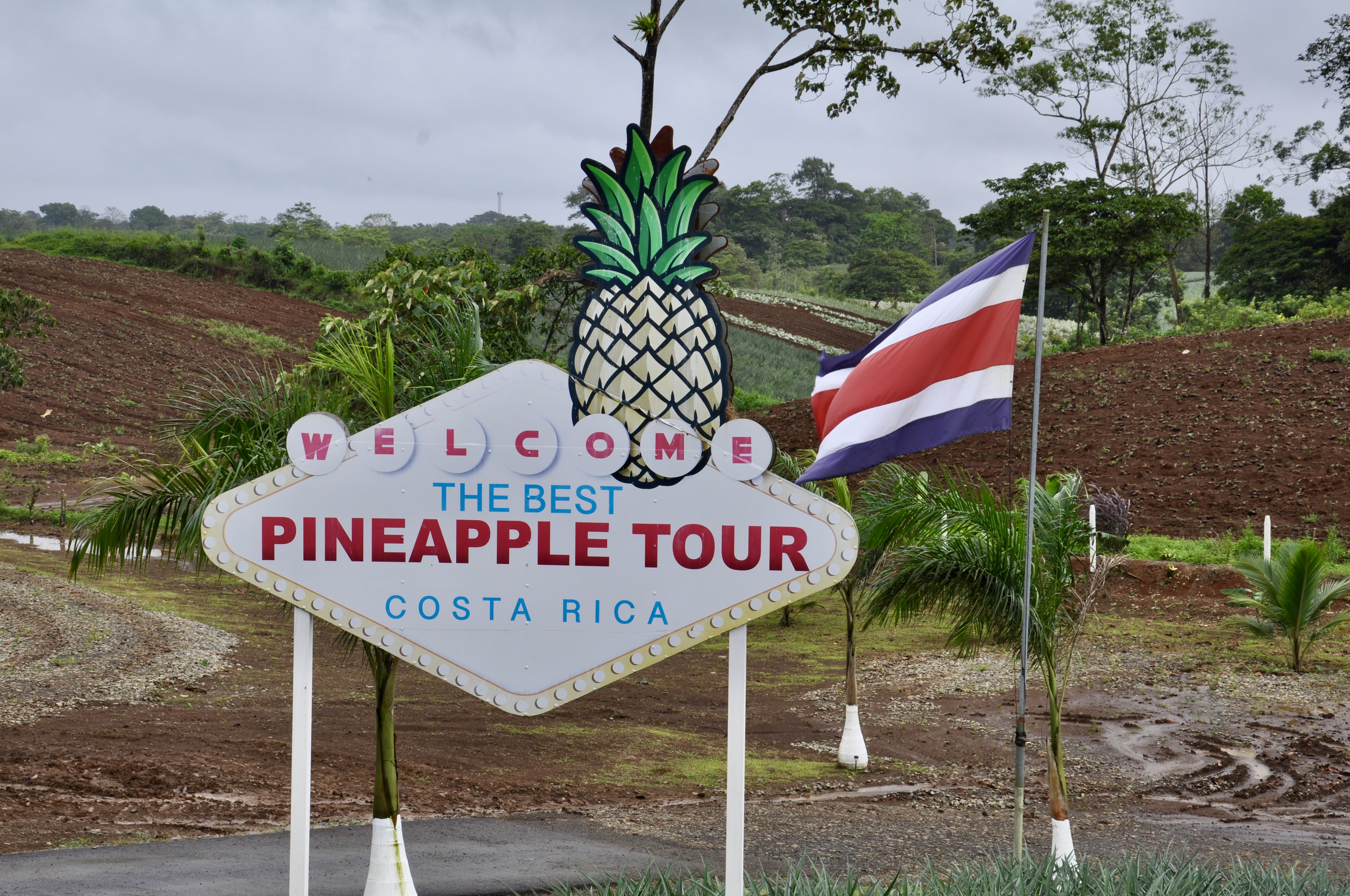 Sarapiquí