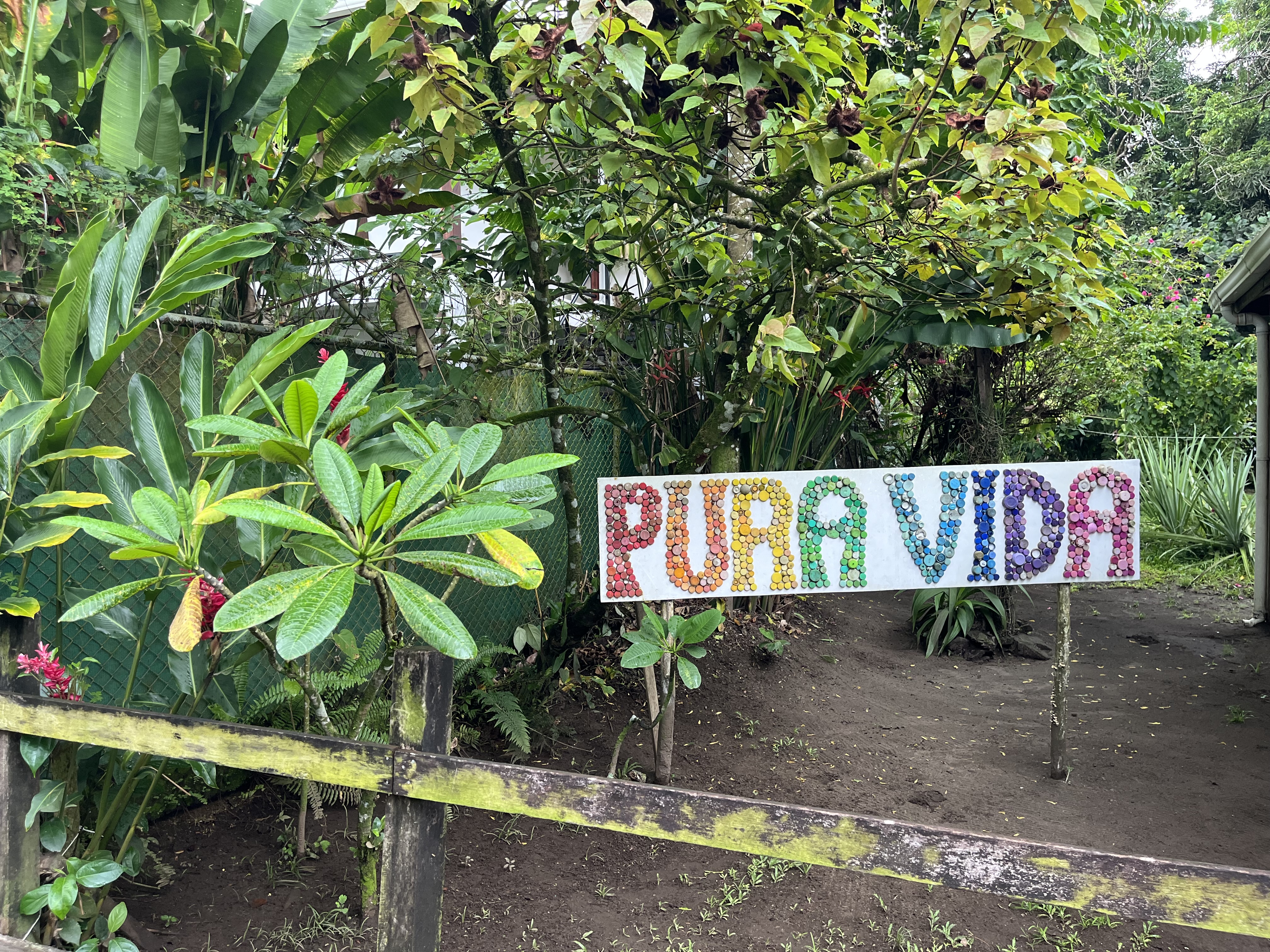 Tortuguero