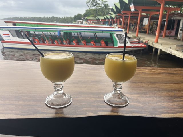Foto aus Tortuguero
