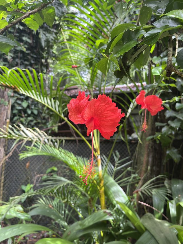 Foto aus Puerto Viejo