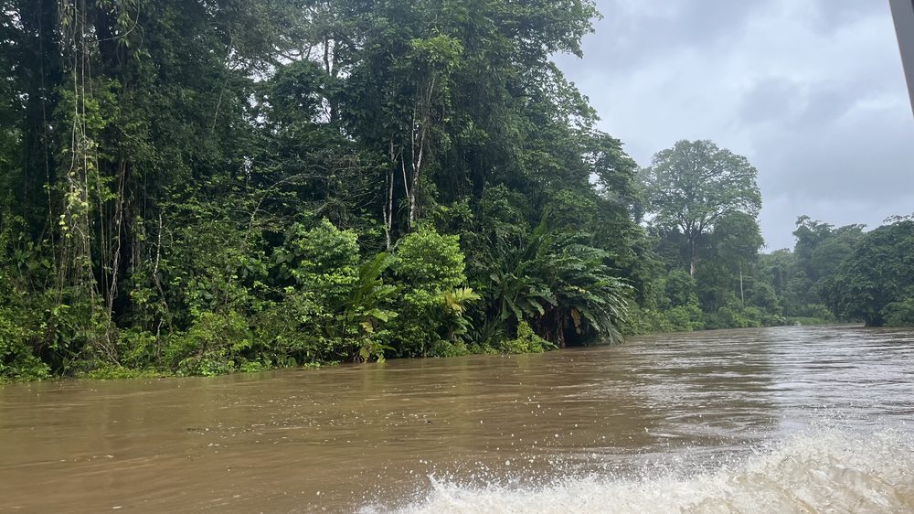 Puerto Viejo