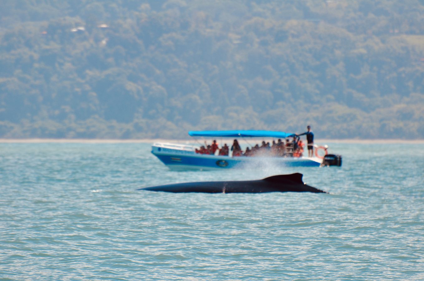 Foto aus Dominical